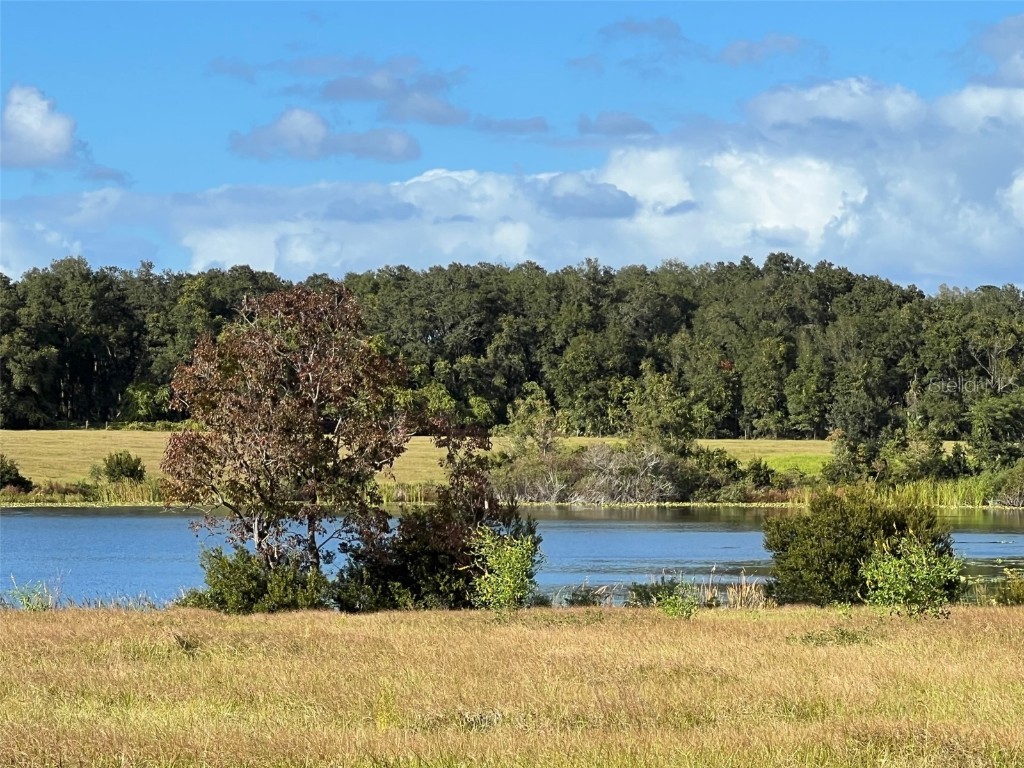 SE 74th Lane Road #6-EAST Ocklawaha FL 32179 OM662094 image41