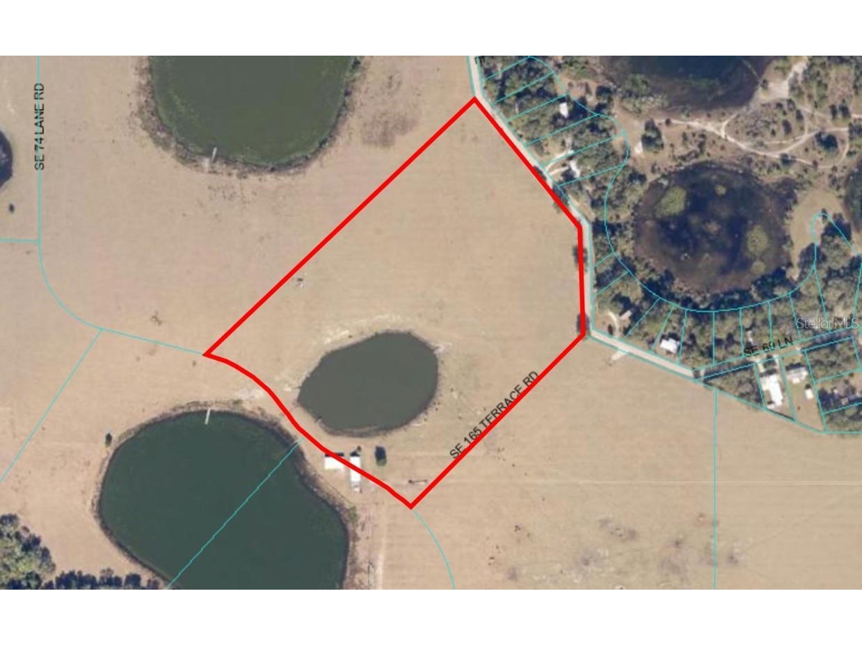 SE 74th Lane Road #7-WEST Ocklawaha FL 32179 OM662074 image1