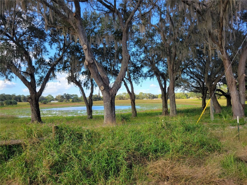 SE 74th Lane Road #8-WEST Ocklawaha FL 32179 OM662080 image10