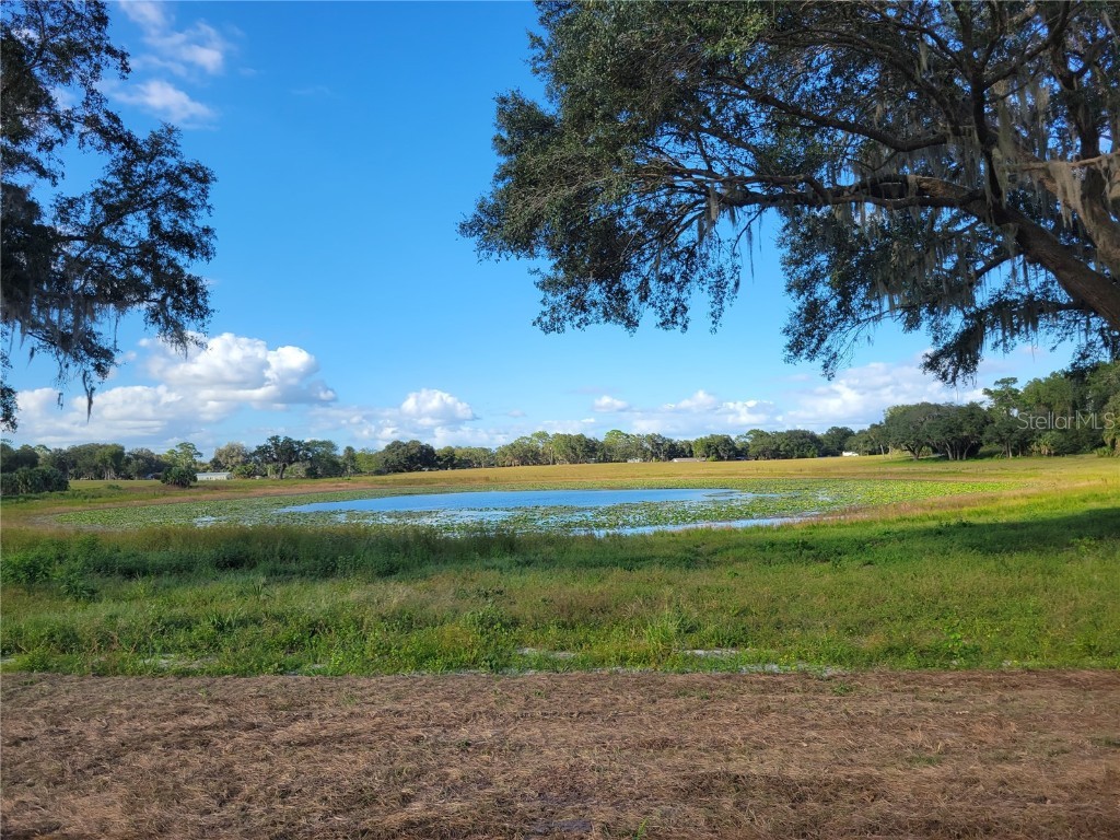 SE 74th Lane Road #8-WEST Ocklawaha FL 32179 OM662080 image11