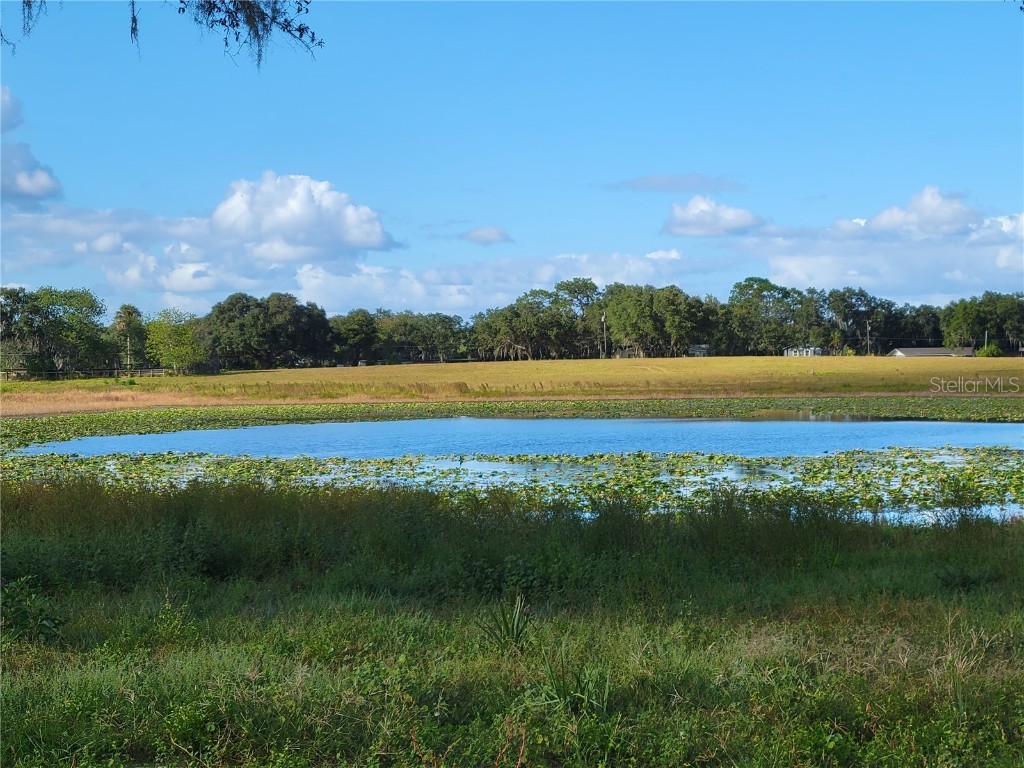 SE 74th Lane Road #8-WEST Ocklawaha FL 32179 OM662080 image12