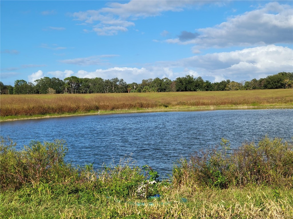 SE 74th Lane Road #8-WEST Ocklawaha FL 32179 OM662080 image14