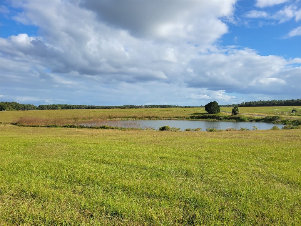 SE 74th Lane Road #8-WEST Ocklawaha FL 32179 OM662080 image15