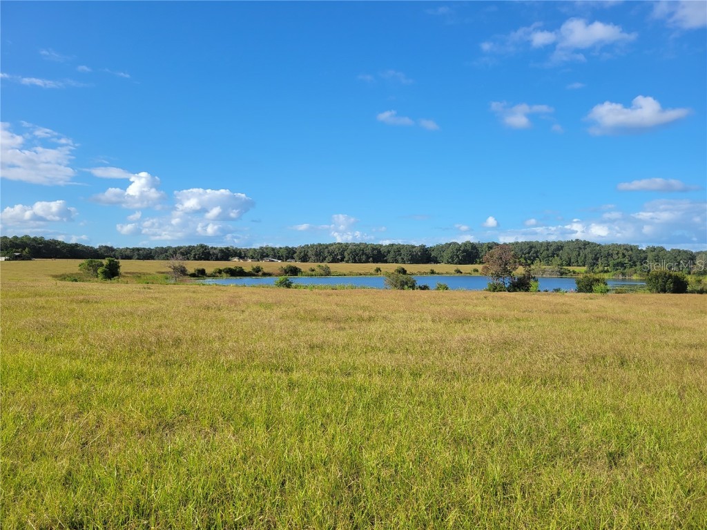 SE 74th Lane Road #8-WEST Ocklawaha FL 32179 OM662080 image16