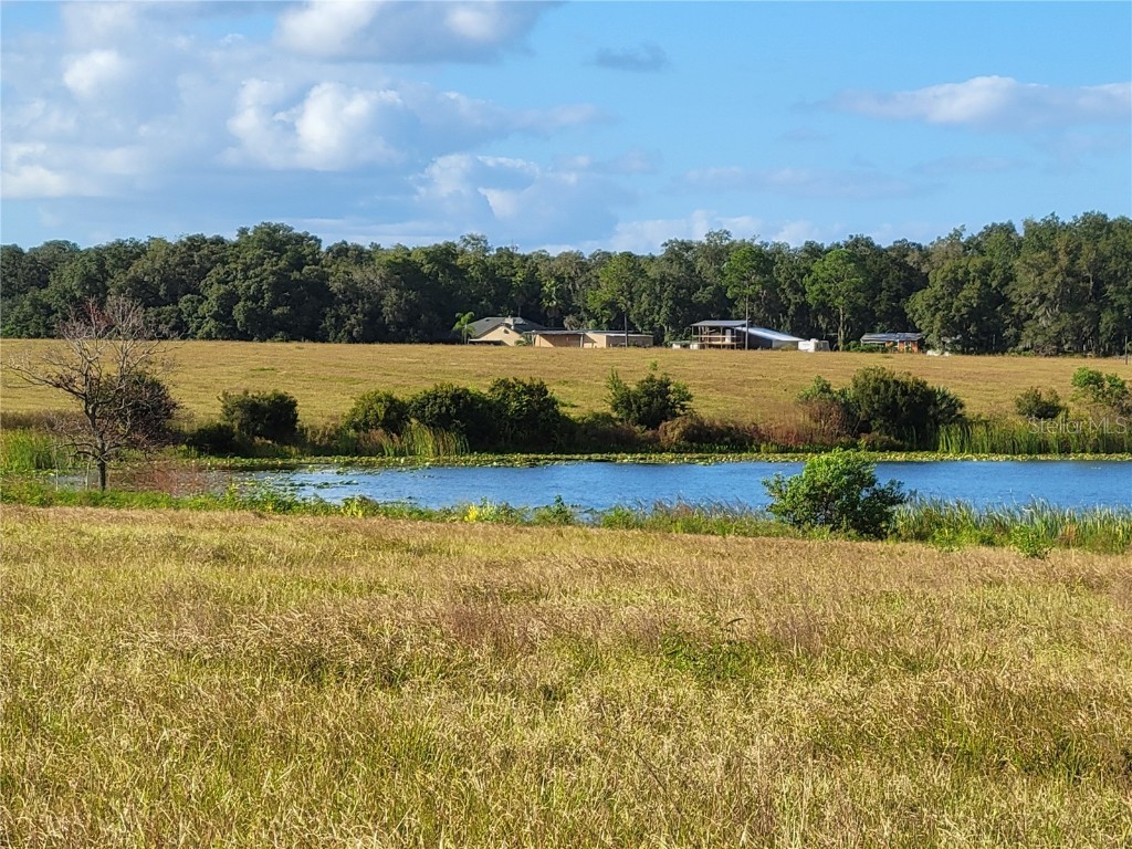 SE 74th Lane Road #8-WEST Ocklawaha FL 32179 OM662080 image17