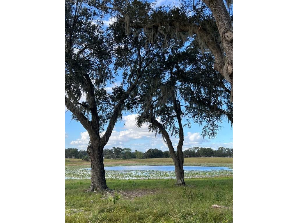 SE 74th Lane Road #8-WEST Ocklawaha FL 32179 OM662080 image29