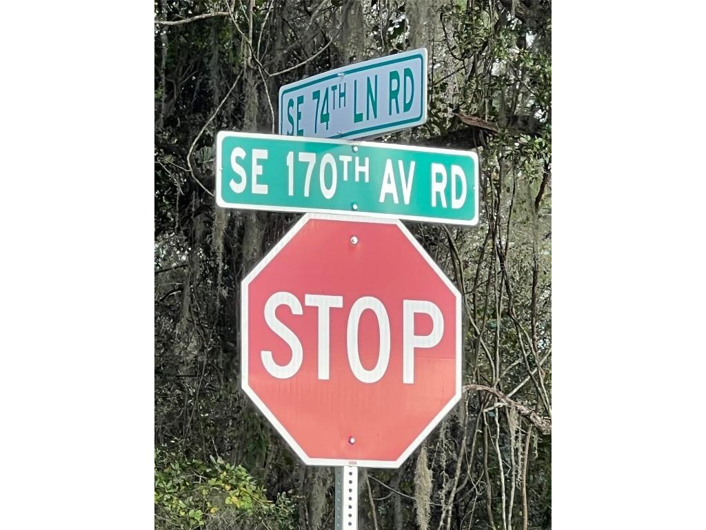 SE 74th Lane Road #8-WEST Ocklawaha FL 32179 OM662080 image30