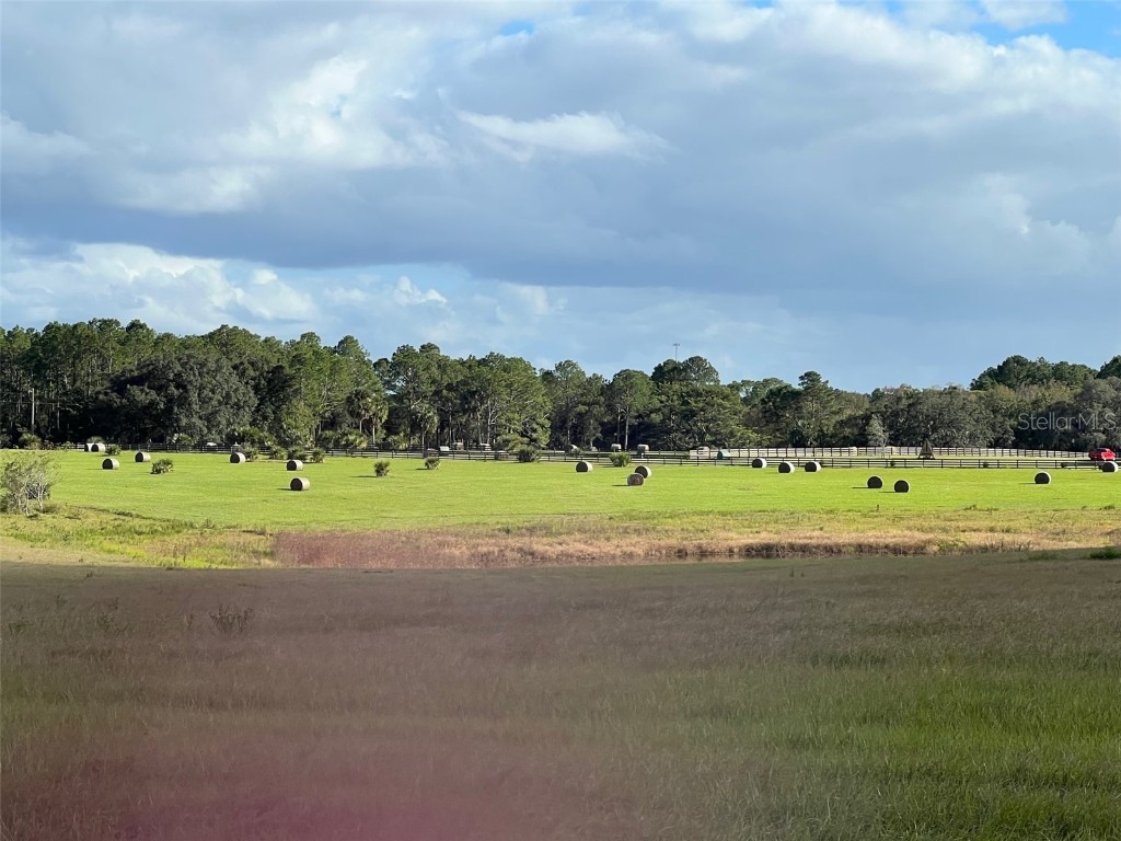 SE 74th Lane Road #8-WEST Ocklawaha FL 32179 OM662080 image31