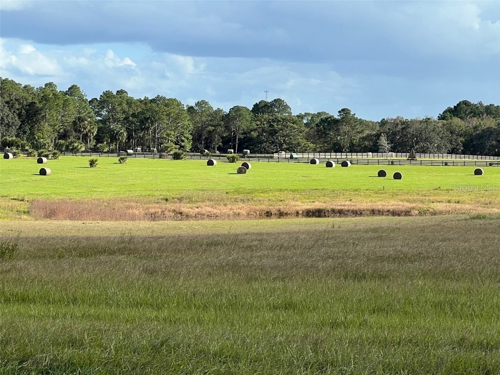 SE 74th Lane Road #8-WEST Ocklawaha FL 32179 OM662080 image32