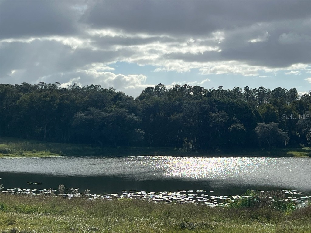 SE 74th Lane Road #8-WEST Ocklawaha FL 32179 OM662080 image38