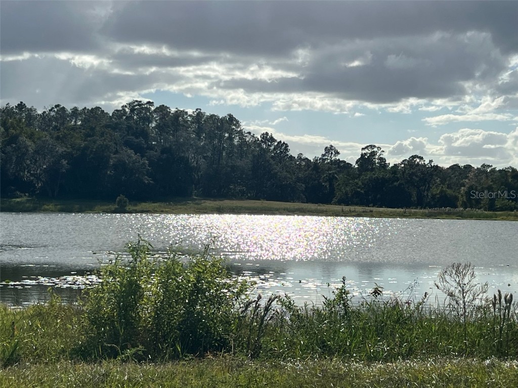SE 74th Lane Road #8-WEST Ocklawaha FL 32179 OM662080 image40
