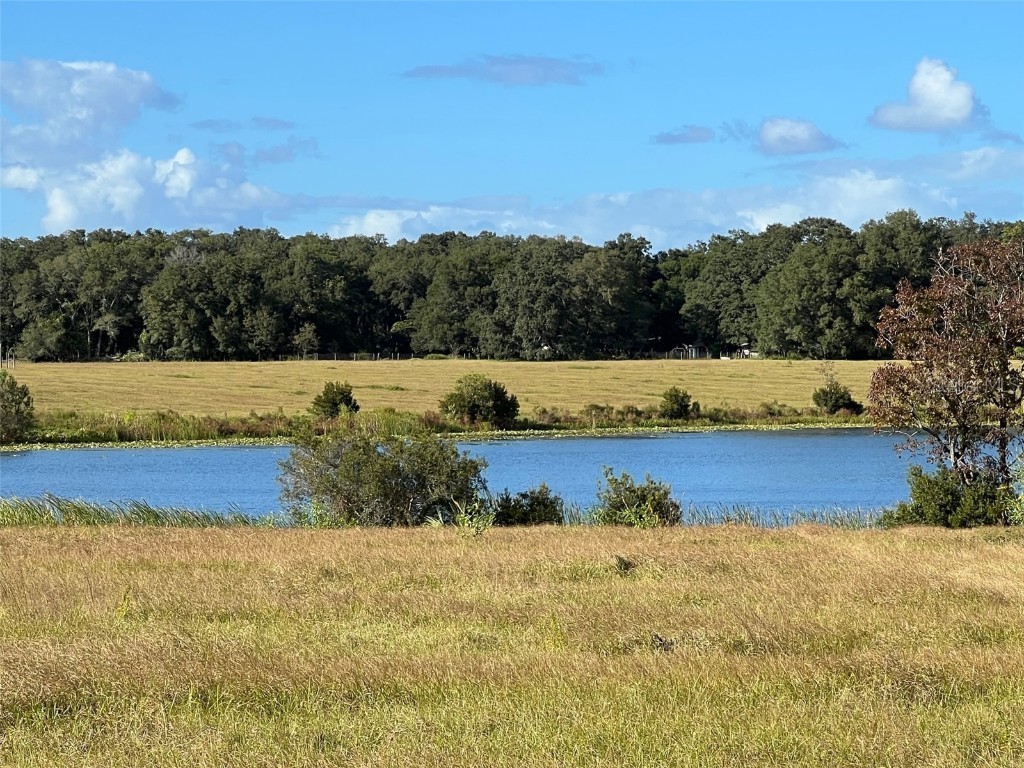 SE 74th Lane Road #8-WEST Ocklawaha FL 32179 OM662080 image42