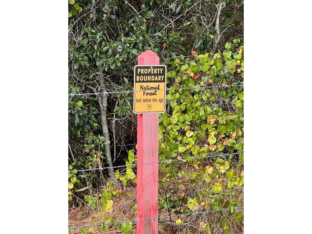 SE 74th Lane Road #8-WEST Ocklawaha FL 32179 OM662080 image45