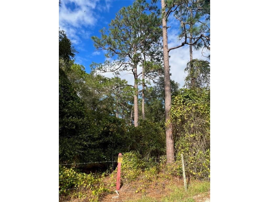 SE 74th Lane Road #8-WEST Ocklawaha FL 32179 OM662080 image46