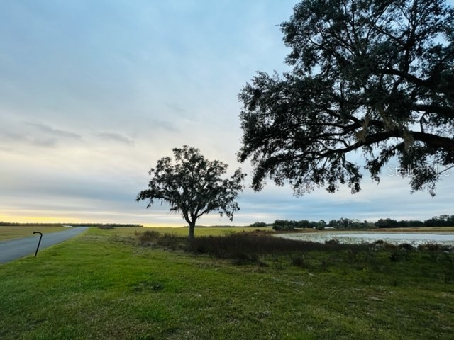 SE 74th Lane Road #8-WEST Ocklawaha FL 32179 OM662080 image47