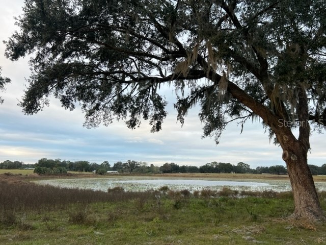 SE 74th Lane Road #8-WEST Ocklawaha FL 32179 OM662080 image48