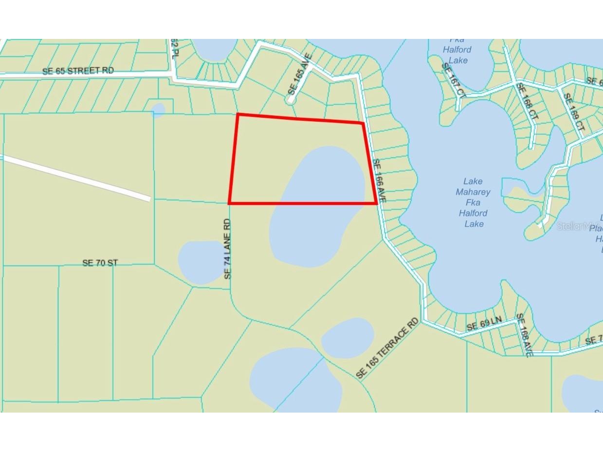 SE 74th Lane Road #9-WEST Ocklawaha FL 32179 OM662082 image2