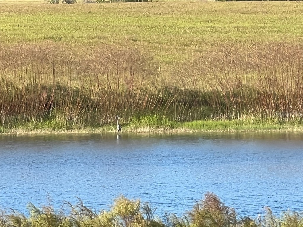 SE 74th Lane Road #9-WEST Ocklawaha FL 32179 OM662082 image36