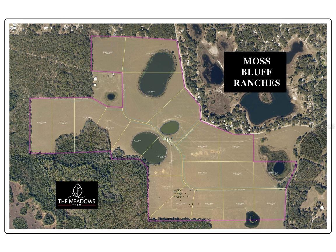 SE 74th Lane Road #9-WEST Ocklawaha FL 32179 OM662082 image4