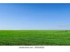 SE 79th Street Ocala FL 34480 OM700341 image3