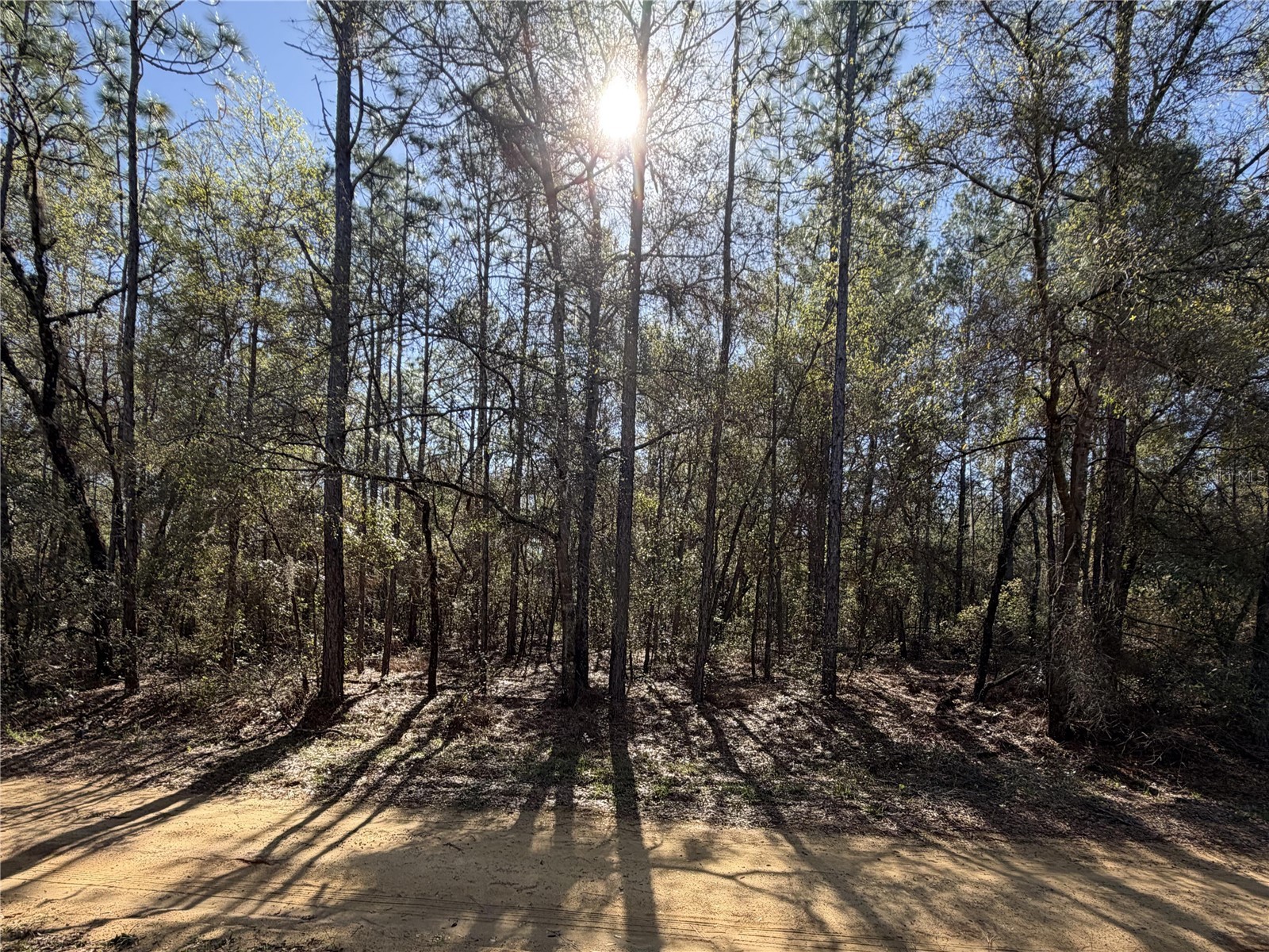 SE 7th Avenue Interlachen FL 32148 GC538478 image1