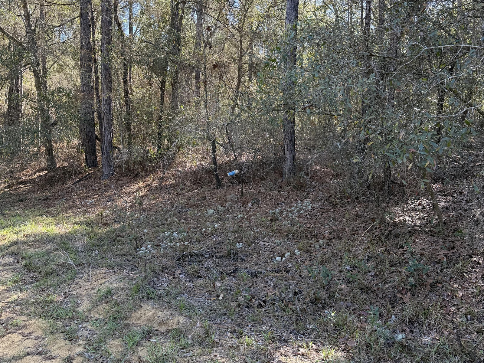 SE 7th Avenue Interlachen FL 32148 GC538478 image2