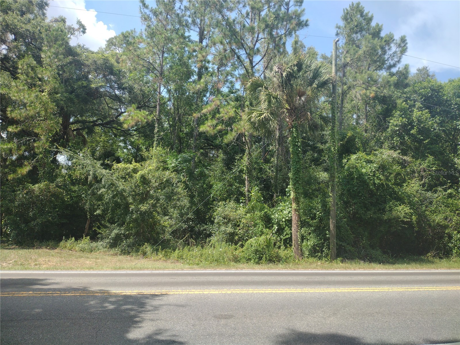 Se 80th Street Street SE Ocala FL 34480 OM727678 image6
