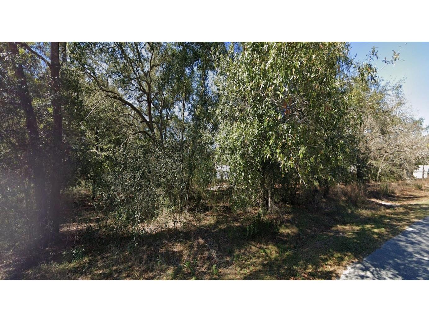 Se 81st Terrace Summerfield FL 34491 S5093413 image1