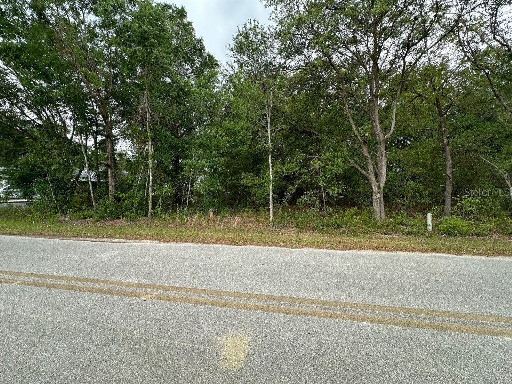 Se 86th Court Belleview FL 34420 O6312073 image1