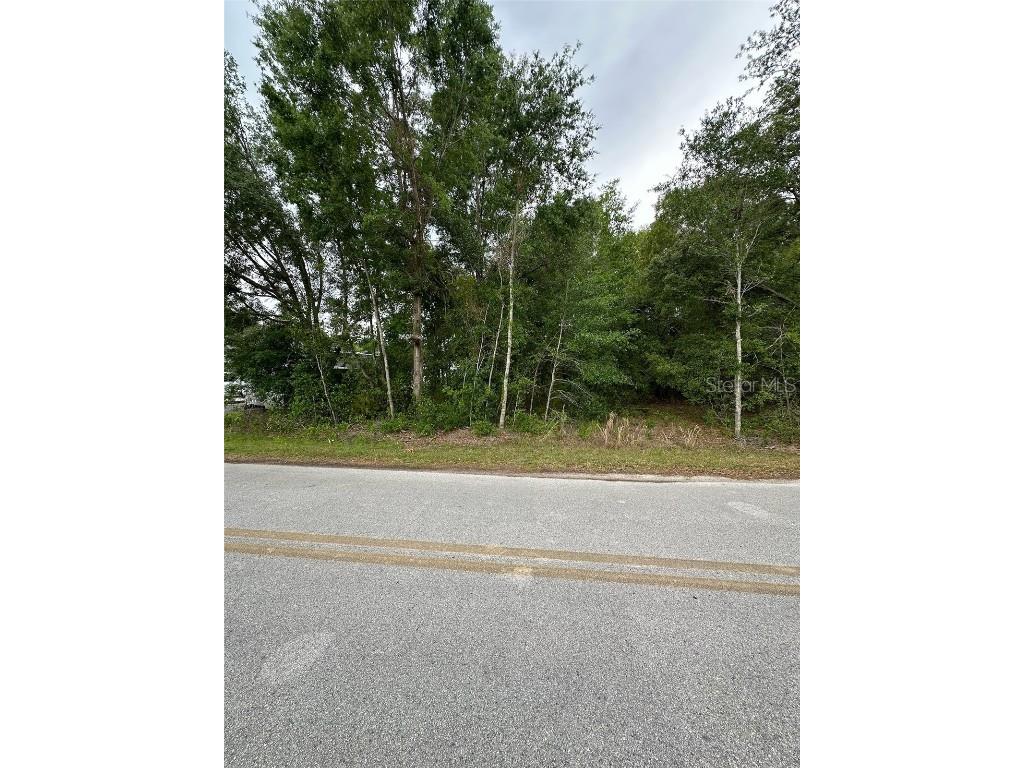 Se 86th Court Belleview FL 34420 O6312073 image2