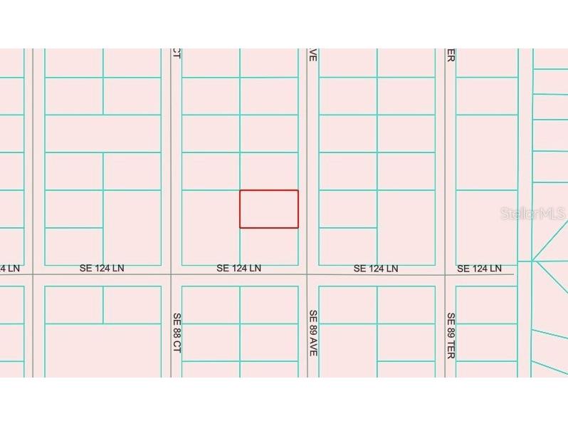 SE 89 Ave Belleview FL 34420 OM709670 image2