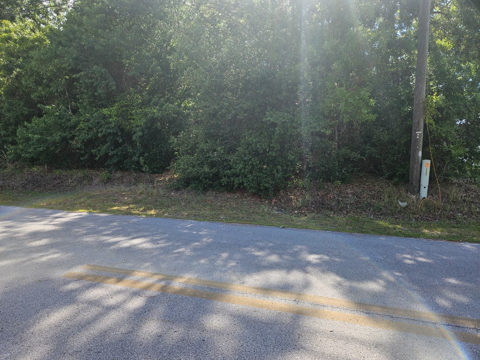 SE 89th Terrace Belleview FL 34420 O6406662 image3