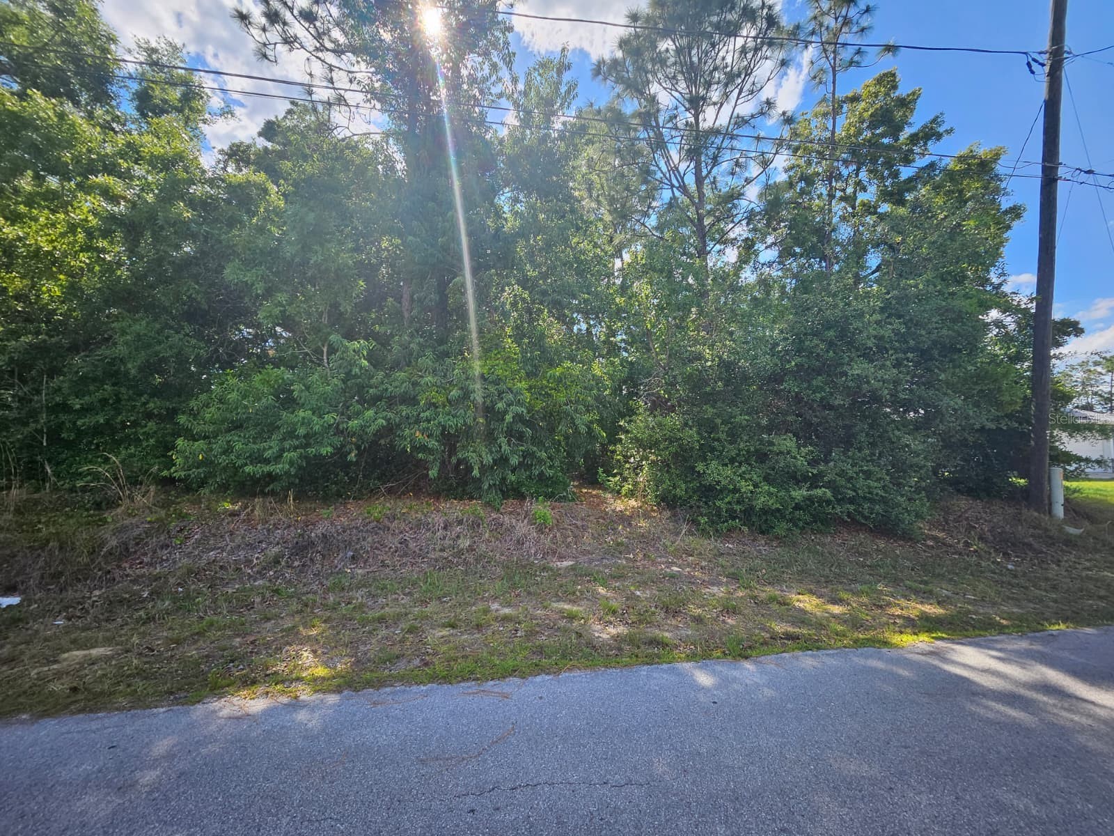 SE 89th Terrace Belleview FL 34420 O6406662 image4