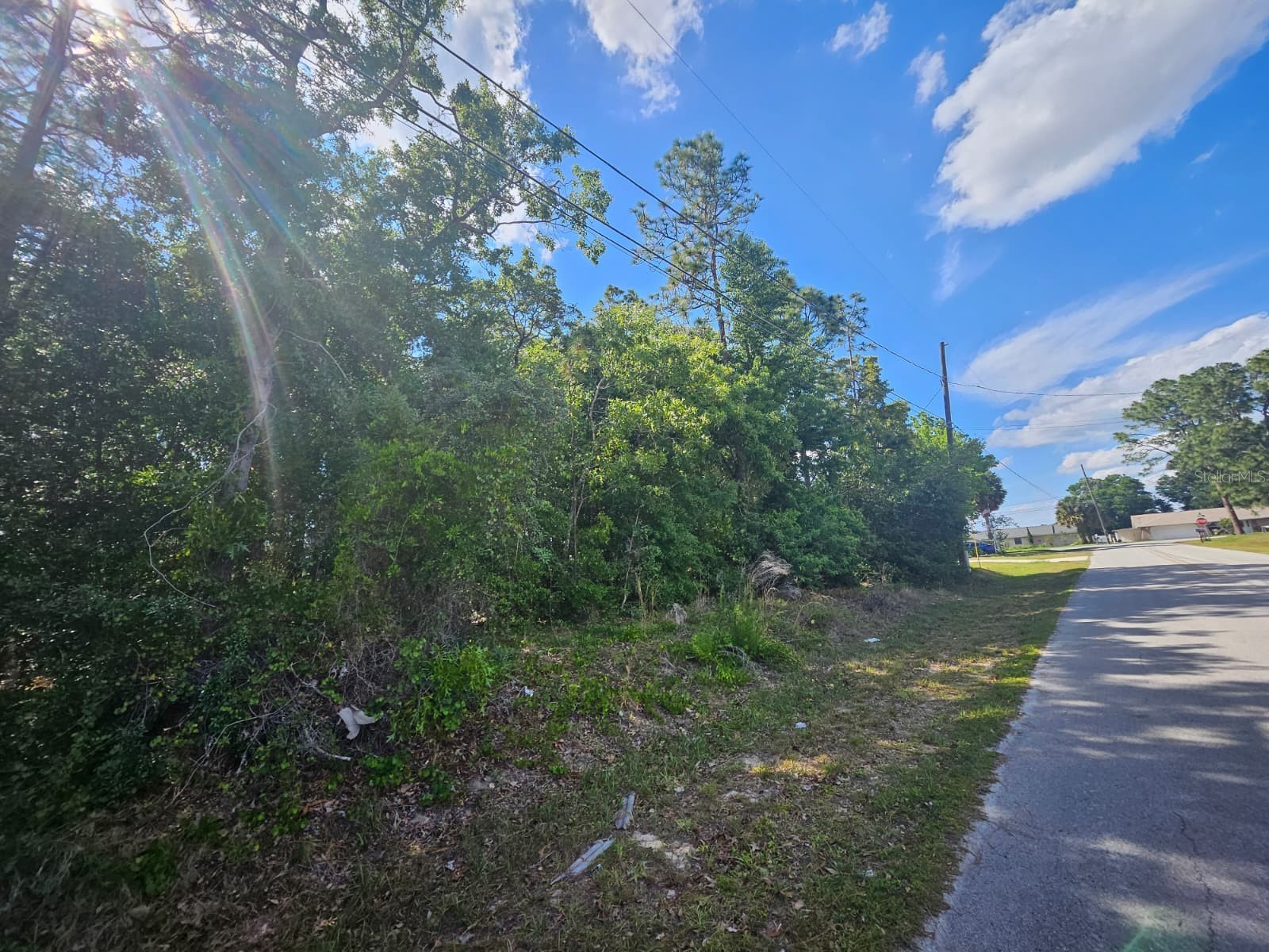 SE 89th Terrace Belleview FL 34420 O6406662 image5