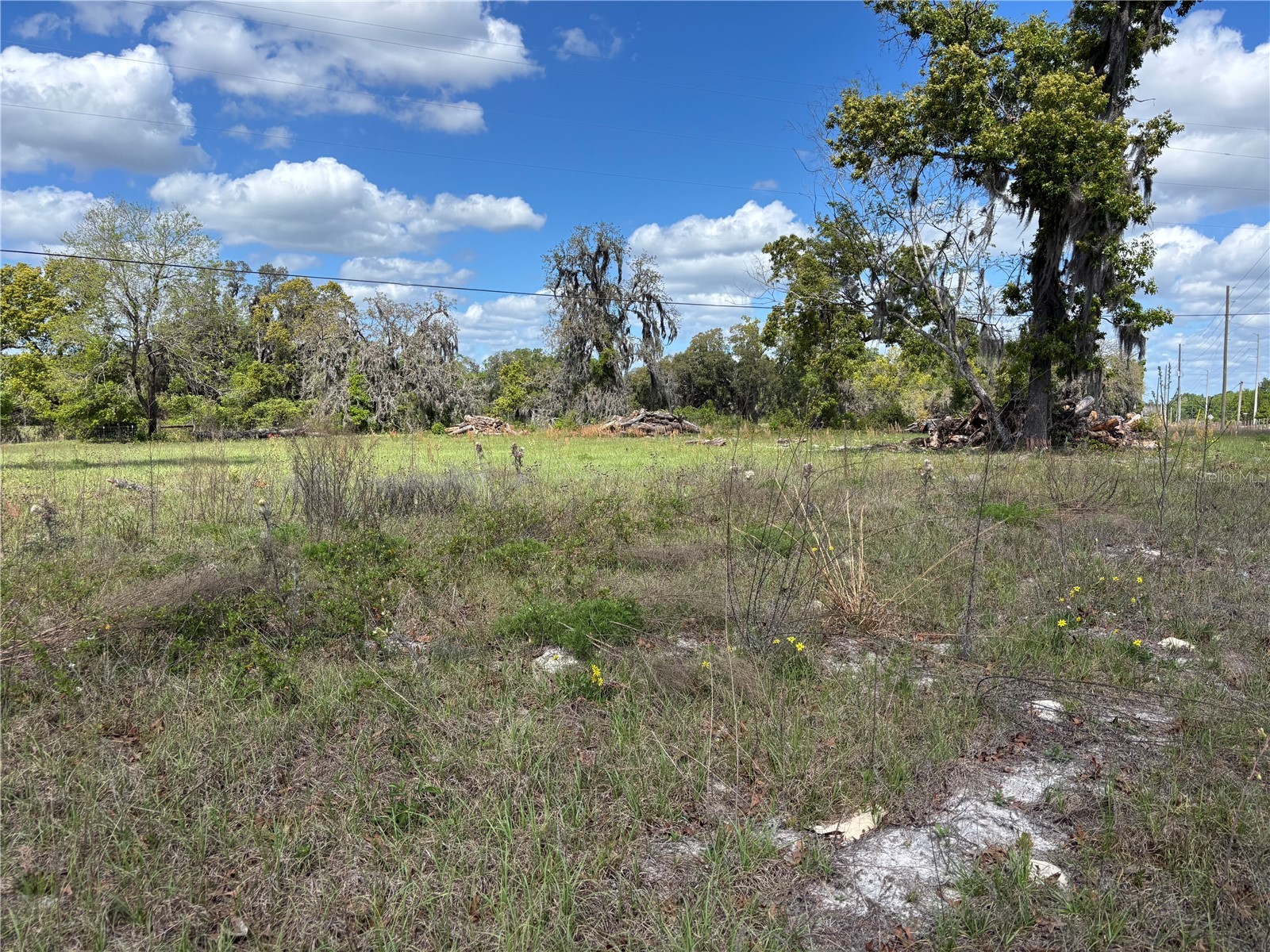 Se 8th Avenue Melrose FL 32666 GC539202 image5