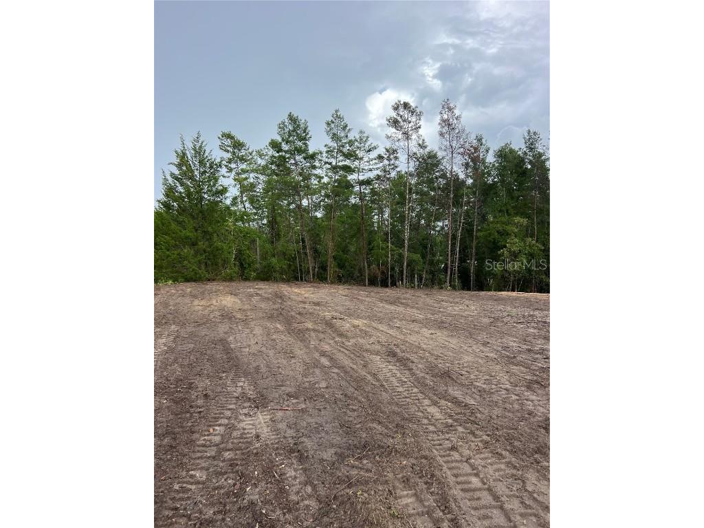 Se 8th St Morriston FL 32668 TB8427189 image1
