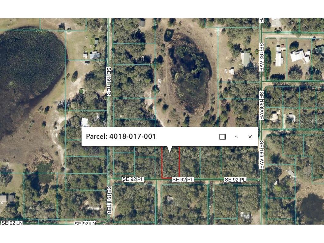 SE 92 Place Ocklawaha FL 32179 FC317357 image1
