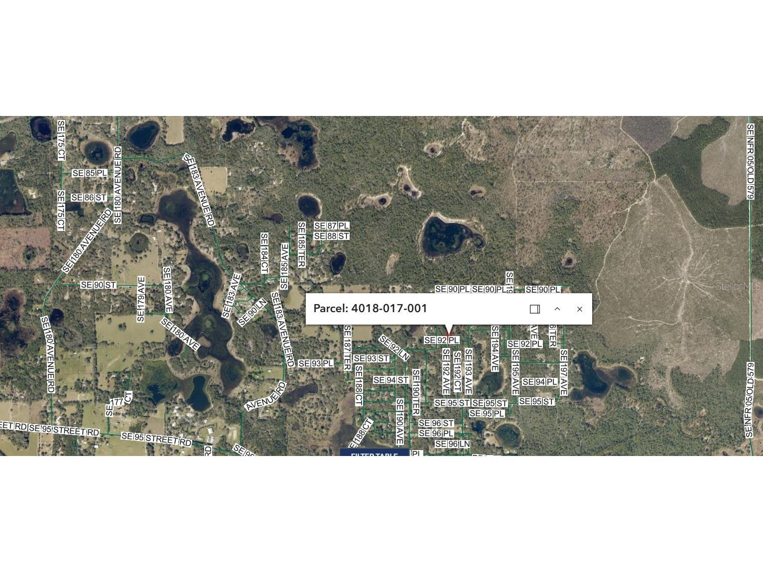 SE 92 Place Ocklawaha FL 32179 FC317357 image2