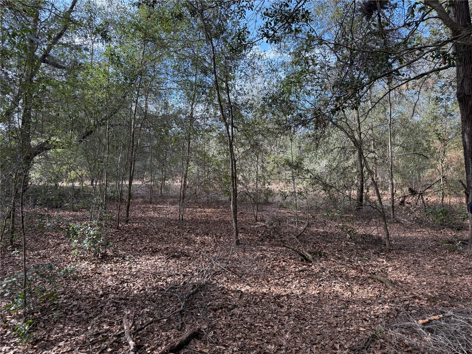 SE 92nd Court Belleview FL 34420 OM716633 image11