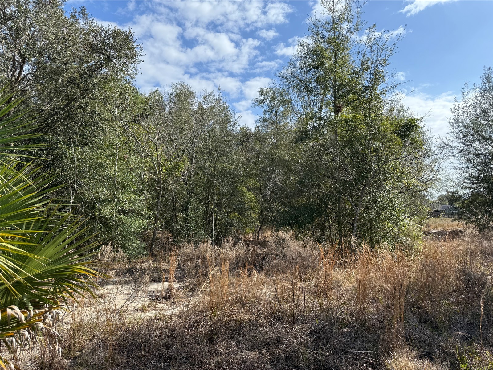 SE 92nd Court Belleview FL 34420 OM716633 image14