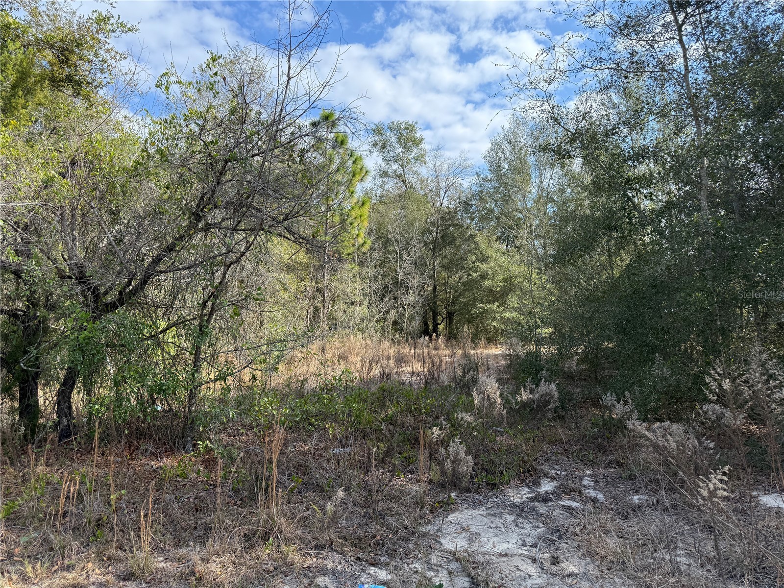 SE 92nd Court Belleview FL 34420 OM716633 image4