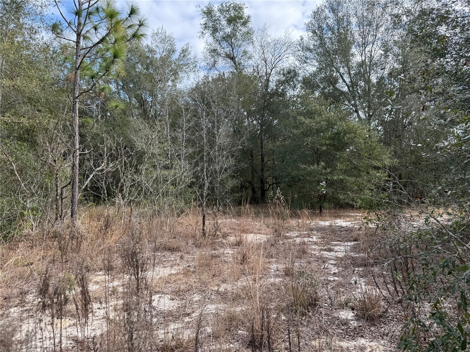 SE 92nd Court Belleview FL 34420 OM716633 image6