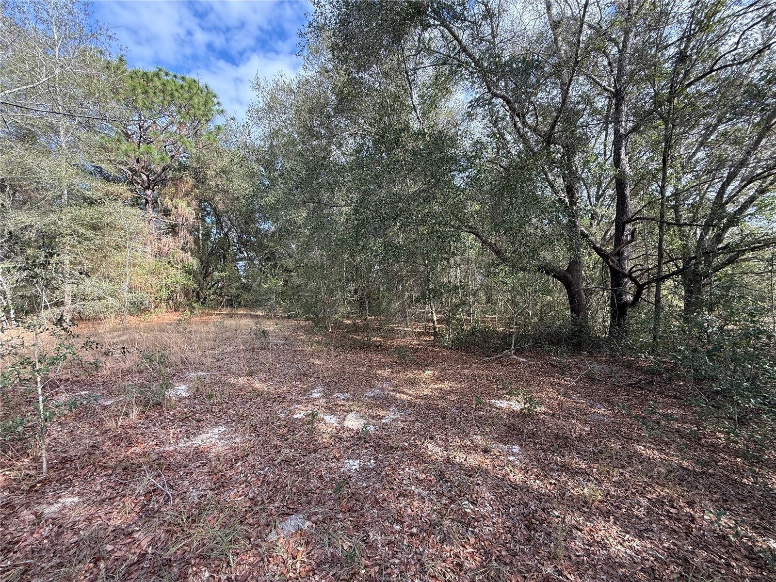 SE 92nd Court Belleview FL 34420 OM716633 image8