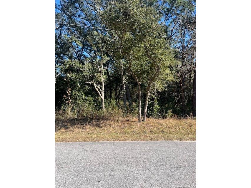 Se 94th Ave Belleview FL 34420 OM691624 image1