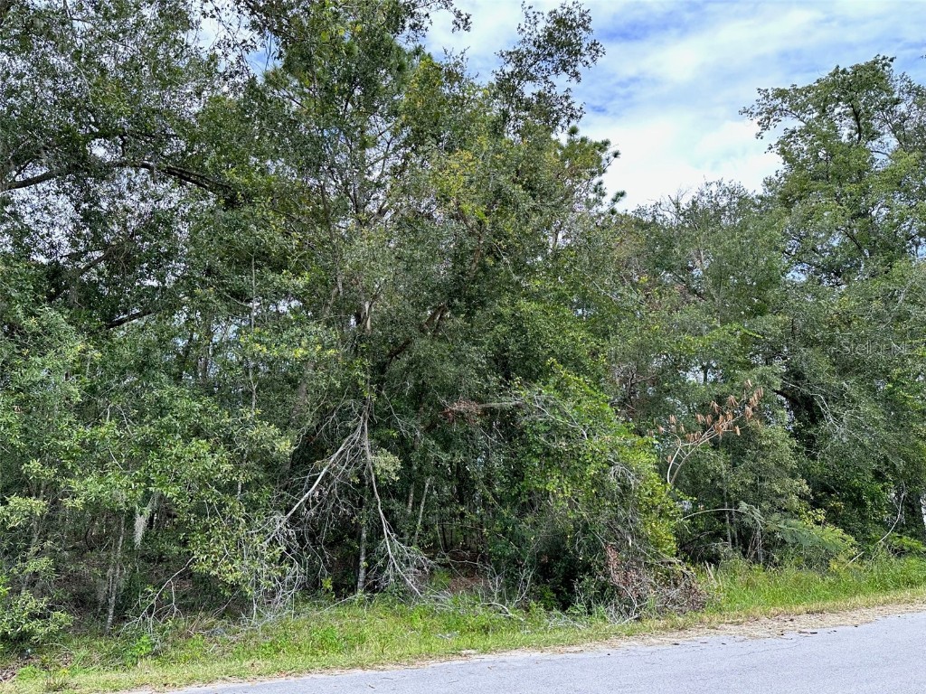 Se 94th Terrace Summerfield FL 34491 O6134885 image1