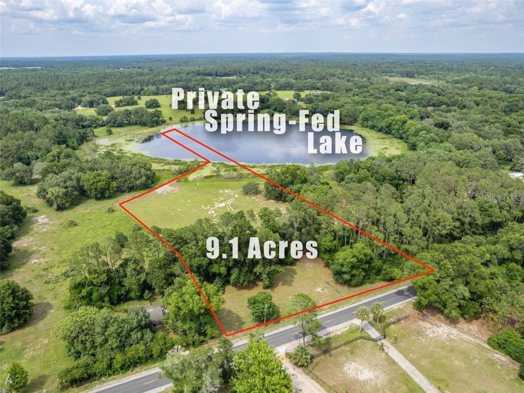 SE 95th Street Rd Ocklawaha FL 32179 OM668257 image1