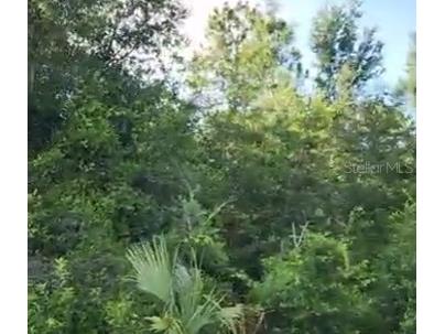 SE 97 Avenue Summerfield FL 34491 G5100453 image1