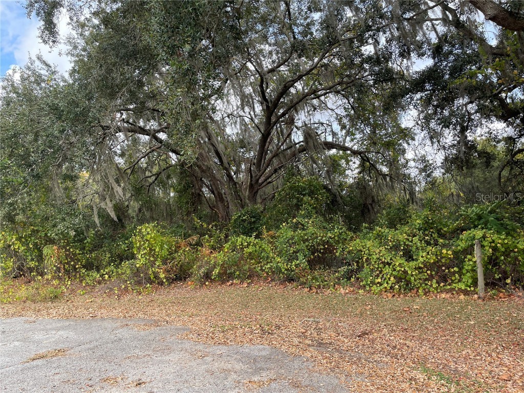 SE 97th Court Summerfield FL 34491 OM714505 image4