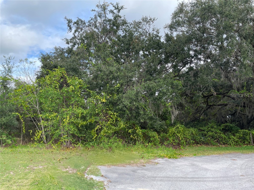 SE 97th Court Summerfield FL 34491 OM714505 image5
