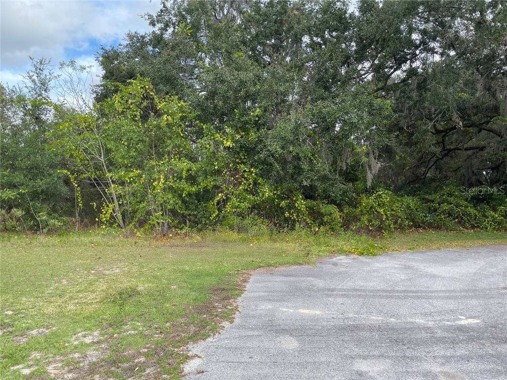 SE 97th Court Summerfield FL 34491 OM714505 image6